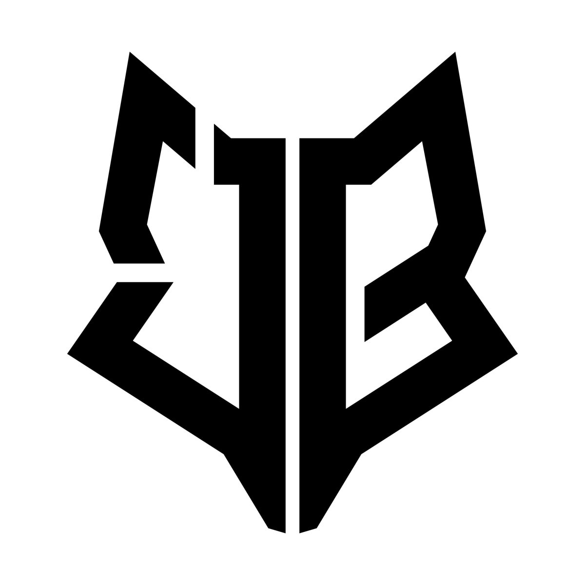 Logo J.Bider-Solutions